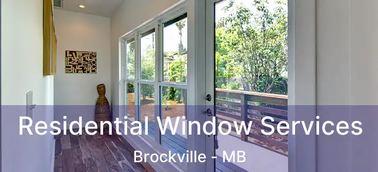  Residential Window Services Brockville - MB