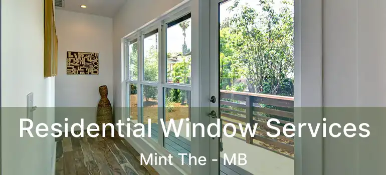  Residential Window Services Mint The - MB