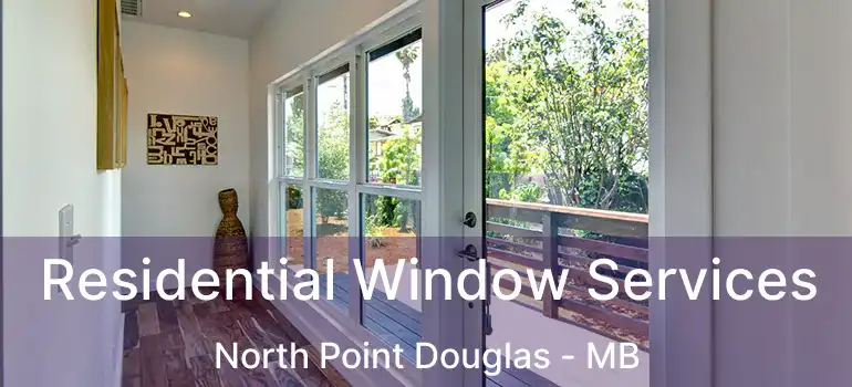  Residential Window Services North Point Douglas - MB