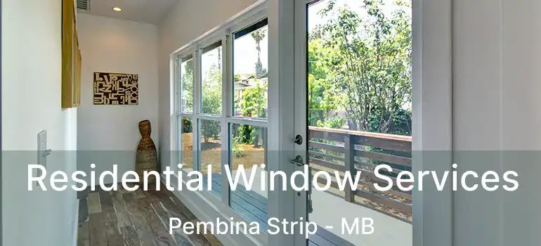  Residential Window Services Pembina Strip - MB
