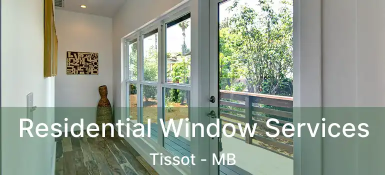  Residential Window Services Tissot - MB