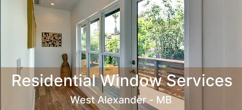 Residential Window Services West Alexander - MB