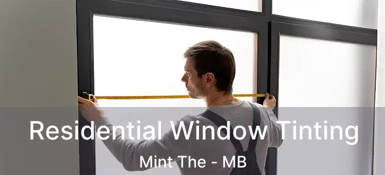  Residential Window Tinting Mint The - MB
