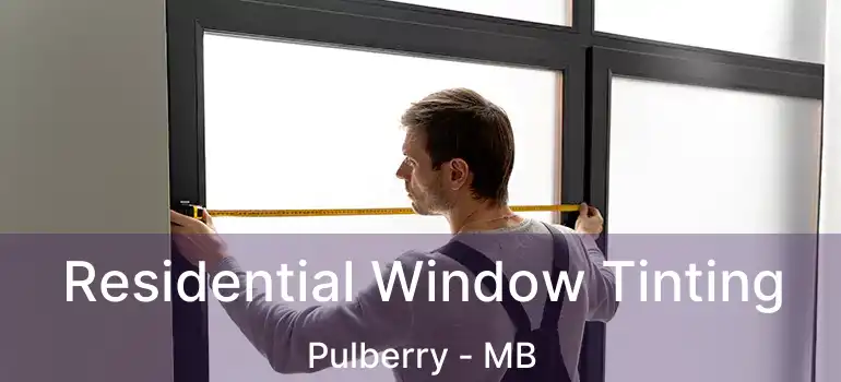 Residential Window Tinting Pulberry - MB