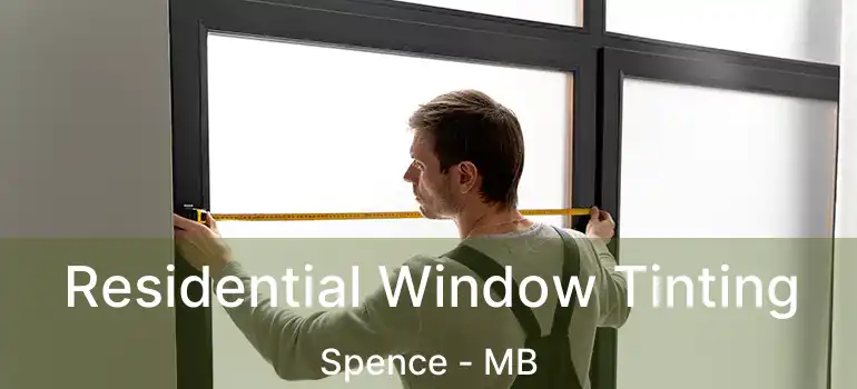  Residential Window Tinting Spence - MB