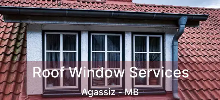  Roof Window Services Agassiz - MB