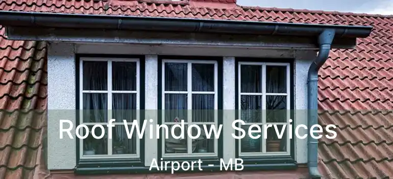  Roof Window Services Airport - MB