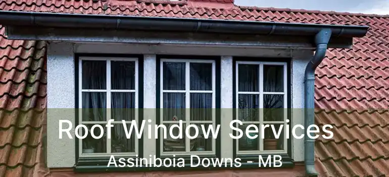  Roof Window Services Assiniboia Downs - MB