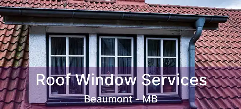  Roof Window Services Beaumont - MB
