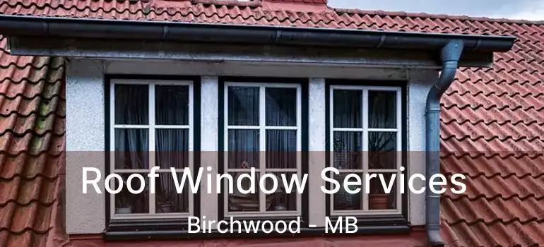  Roof Window Services Birchwood - MB