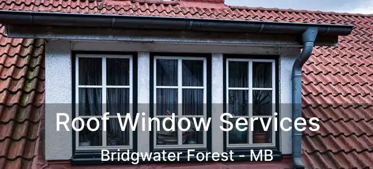  Roof Window Services Bridgwater Forest - MB