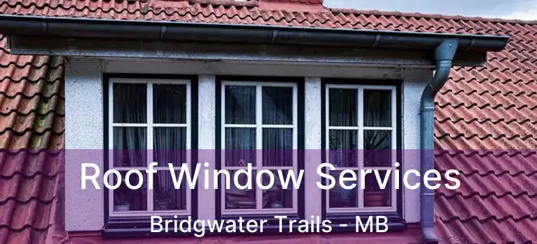  Roof Window Services Bridgwater Trails - MB