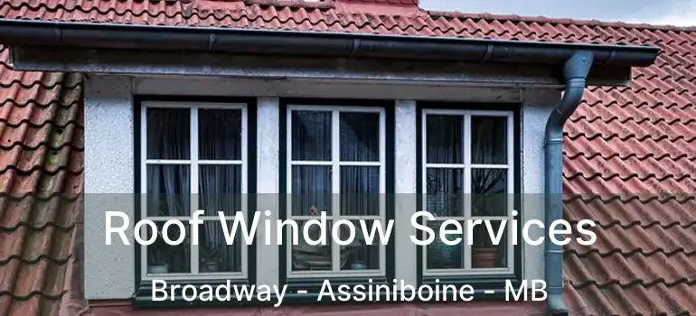  Roof Window Services Broadway - Assiniboine - MB