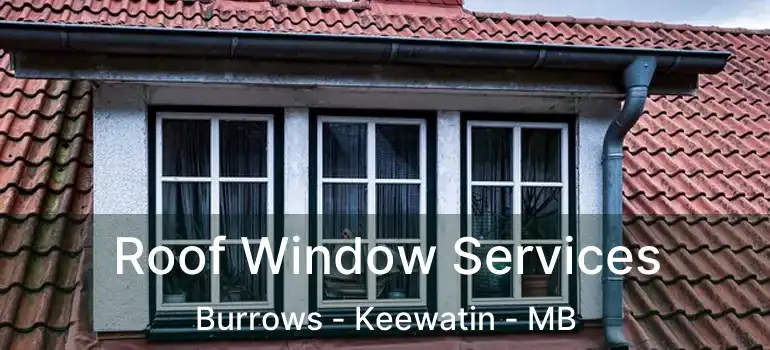  Roof Window Services Burrows - Keewatin - MB