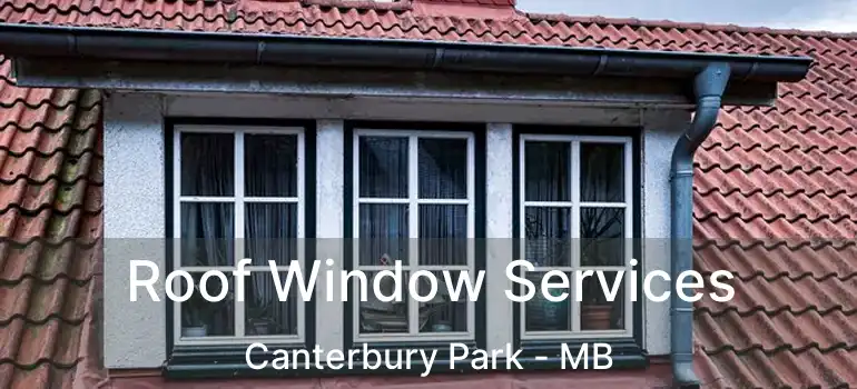  Roof Window Services Canterbury Park - MB