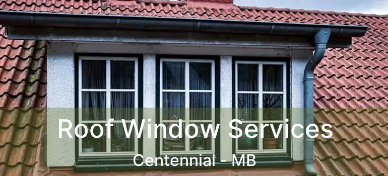  Roof Window Services Centennial - MB