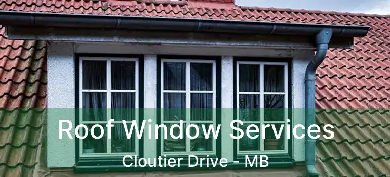  Roof Window Services Cloutier Drive - MB