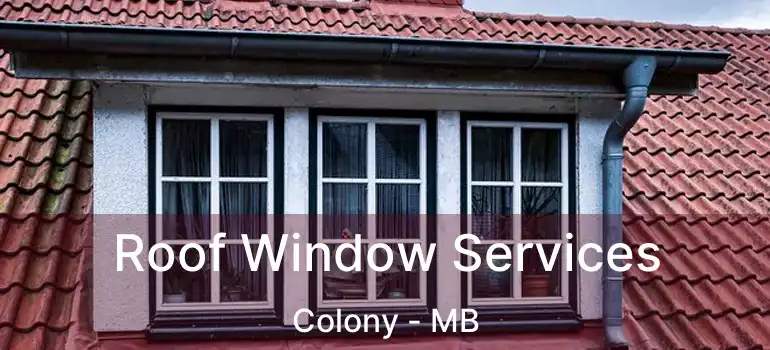  Roof Window Services Colony - MB
