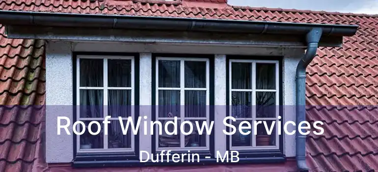  Roof Window Services Dufferin - MB