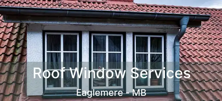  Roof Window Services Eaglemere - MB