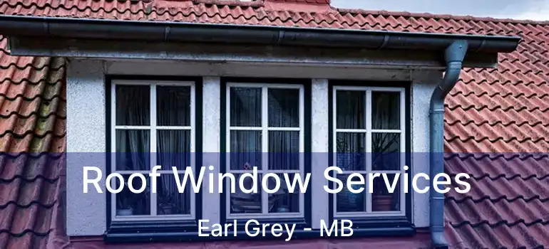  Roof Window Services Earl Grey - MB