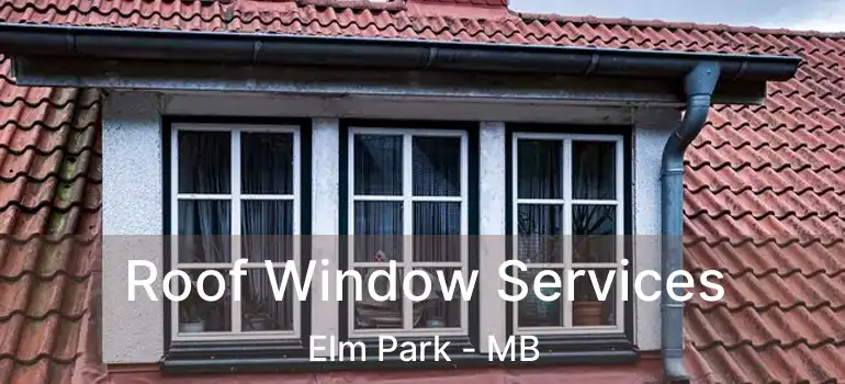  Roof Window Services Elm Park - MB