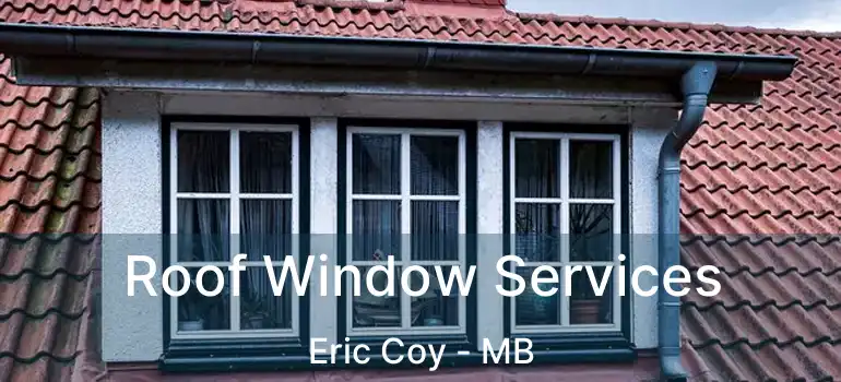  Roof Window Services Eric Coy - MB