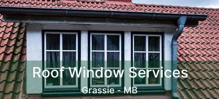  Roof Window Services Grassie - MB