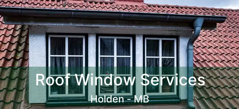  Roof Window Services Holden - MB