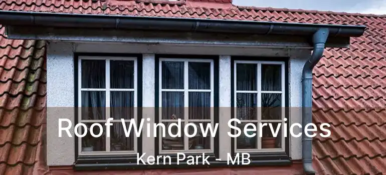  Roof Window Services Kern Park - MB
