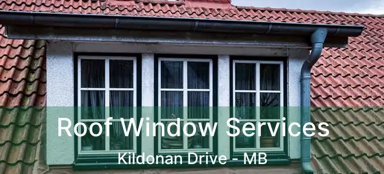  Roof Window Services Kildonan Drive - MB