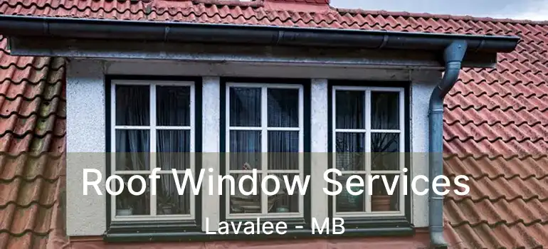  Roof Window Services Lavalee - MB