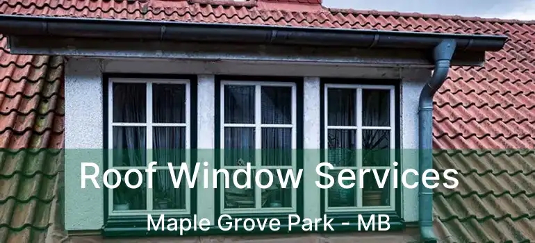  Roof Window Services Maple Grove Park - MB