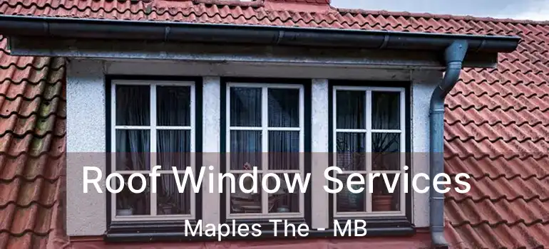  Roof Window Services Maples The - MB