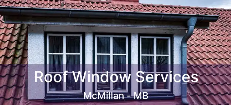  Roof Window Services McMillan - MB