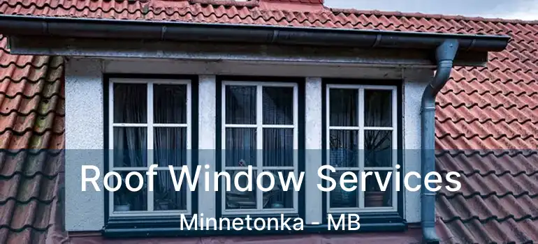  Roof Window Services Minnetonka - MB