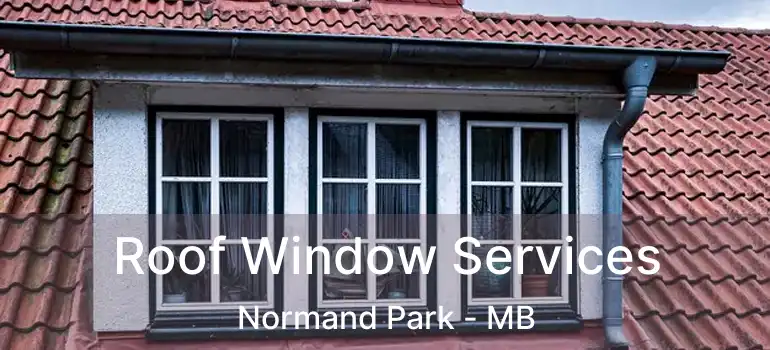  Roof Window Services Normand Park - MB