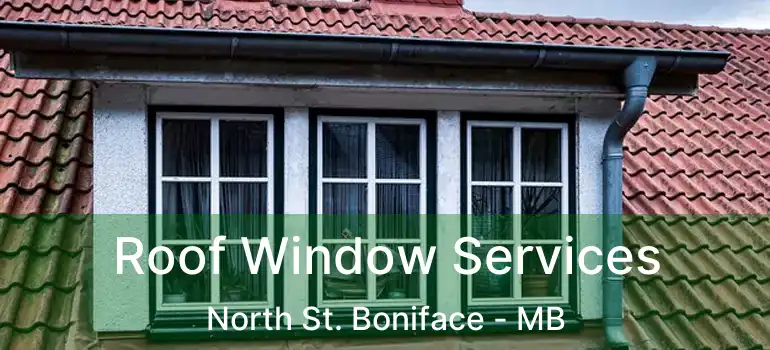  Roof Window Services North St. Boniface - MB