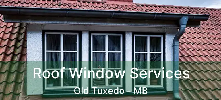  Roof Window Services Old Tuxedo - MB