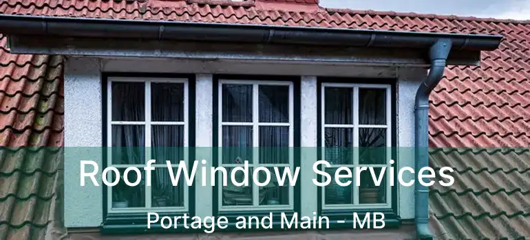  Roof Window Services Portage and Main - MB