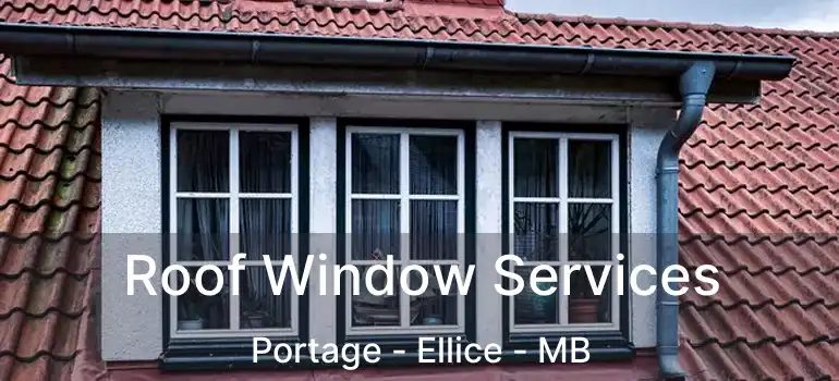  Roof Window Services Portage - Ellice - MB