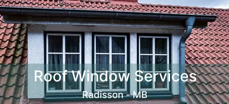  Roof Window Services Radisson - MB
