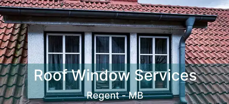  Roof Window Services Regent - MB