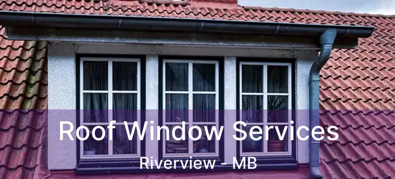  Roof Window Services Riverview - MB