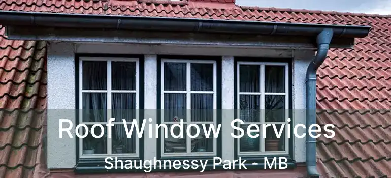  Roof Window Services Shaughnessy Park - MB