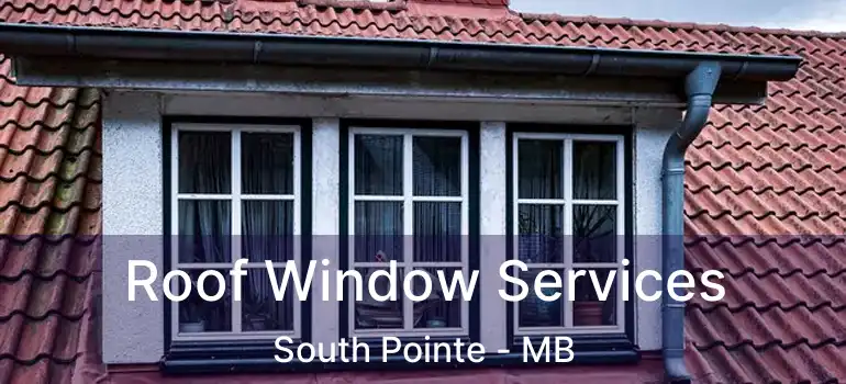  Roof Window Services South Pointe - MB