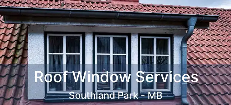  Roof Window Services Southland Park - MB