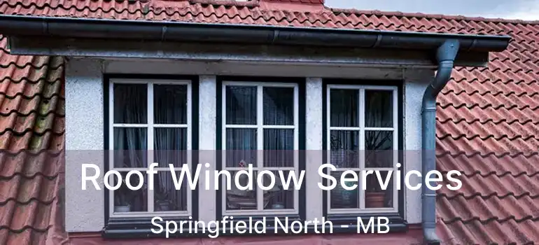  Roof Window Services Springfield North - MB