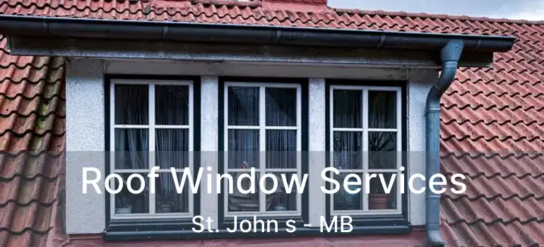  Roof Window Services St. John s - MB