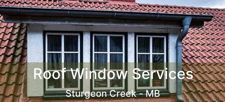  Roof Window Services Sturgeon Creek - MB
